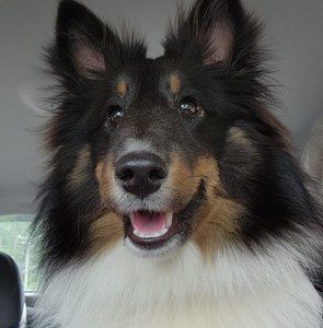 Meet your Posher, Karlotta